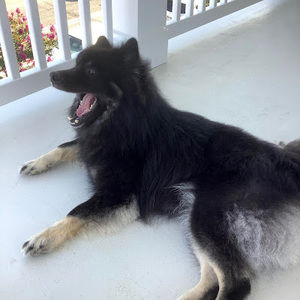 Meet your Posher, Beth